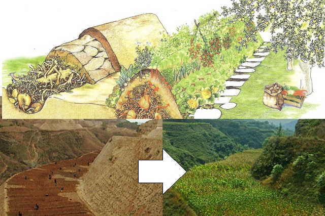 Agrosphere regenerative farming